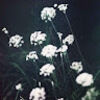 evelynr298